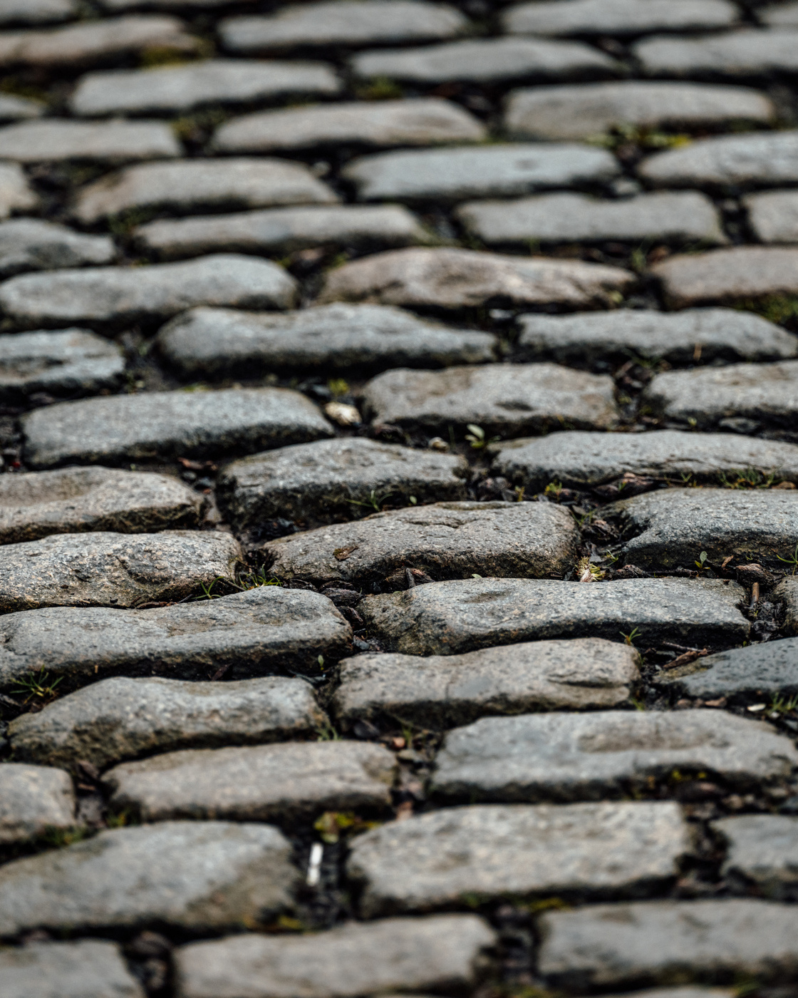 The brutal poetry of the cobbles