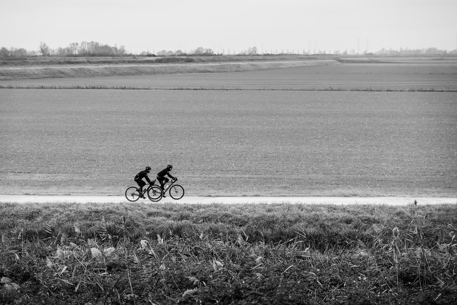 The Rouleur and the Po Delta