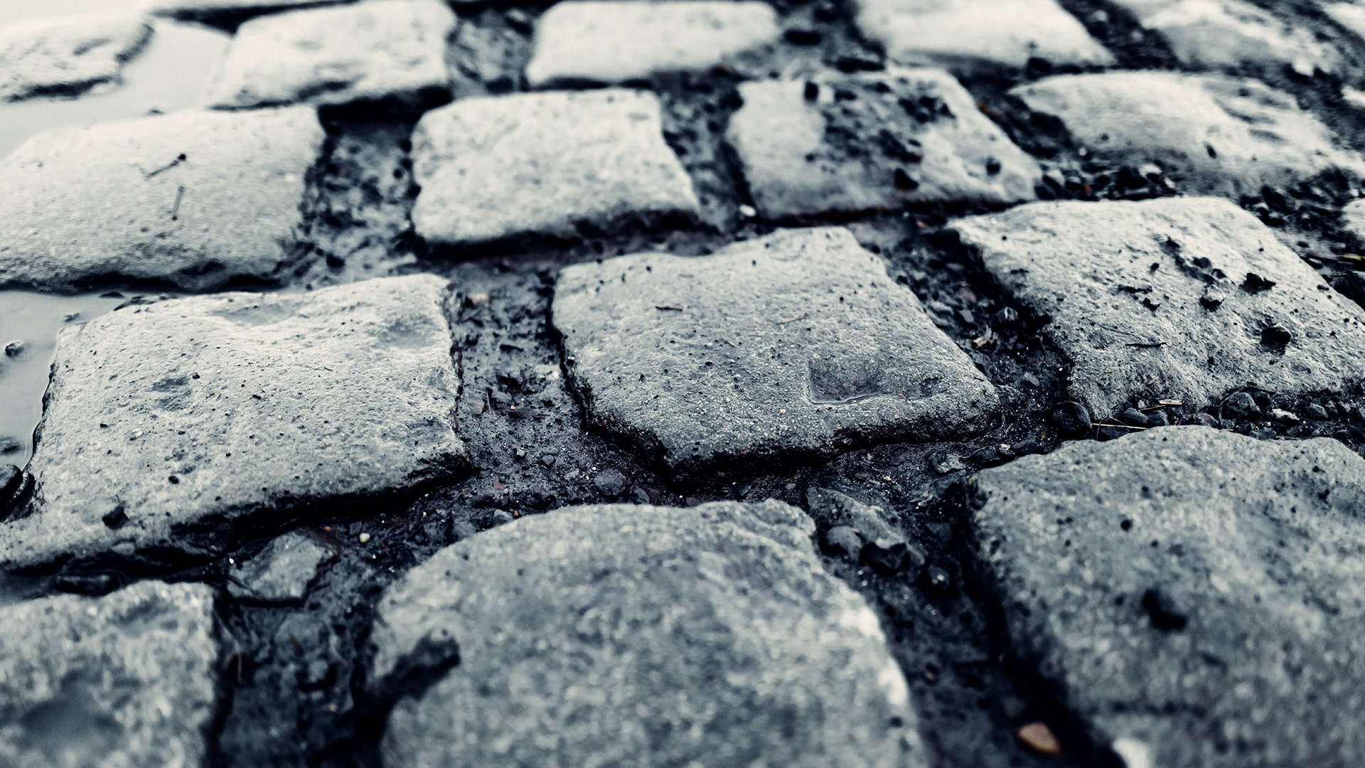 The postponement of the Paris–Roubaix only increases its significance. Daniele Bennati describes his experience on the cobbles of both the Paris–Roubaix and the Tour of Flanders.